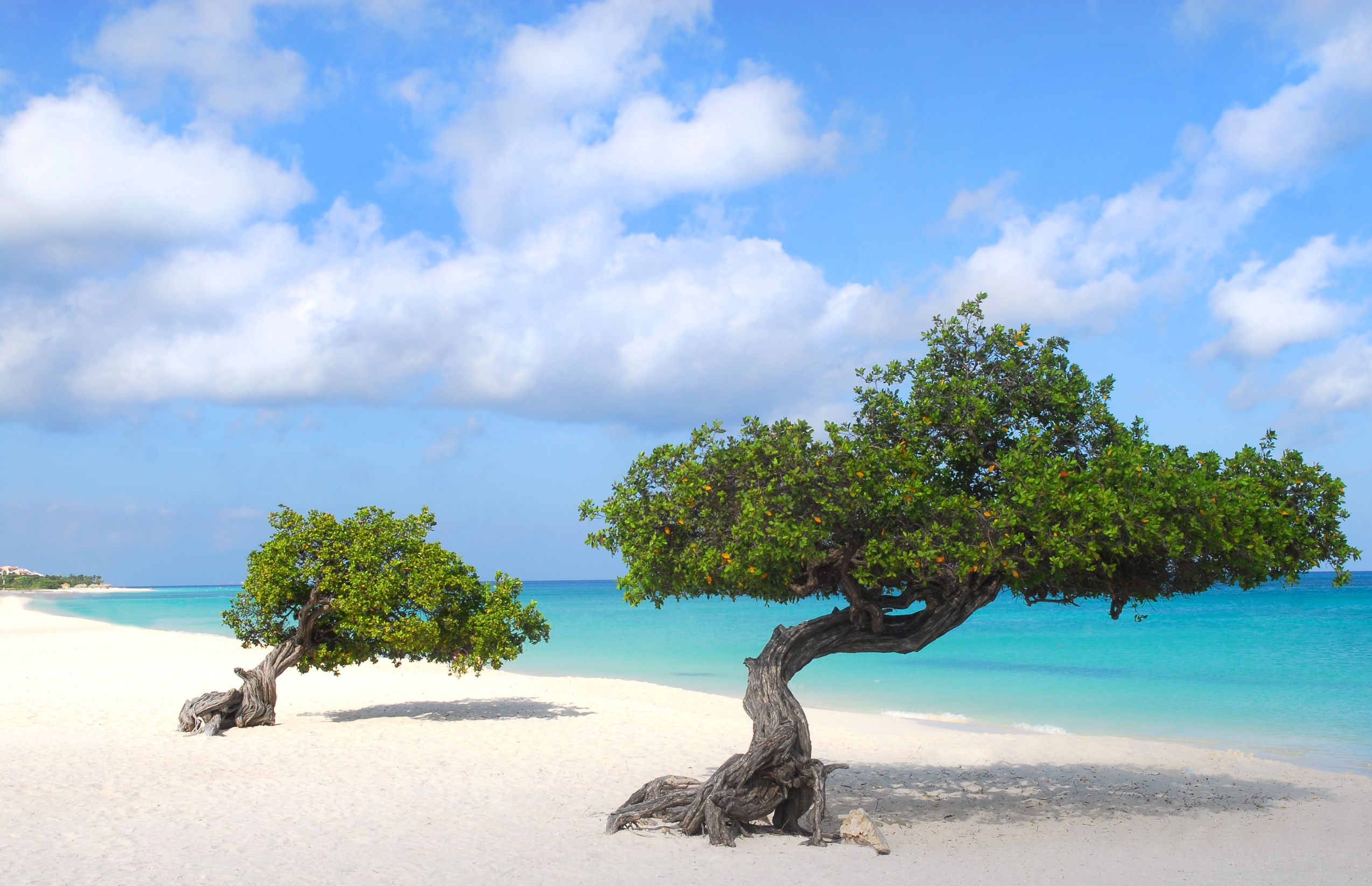 Nude Beaches Aruba - oypshjz