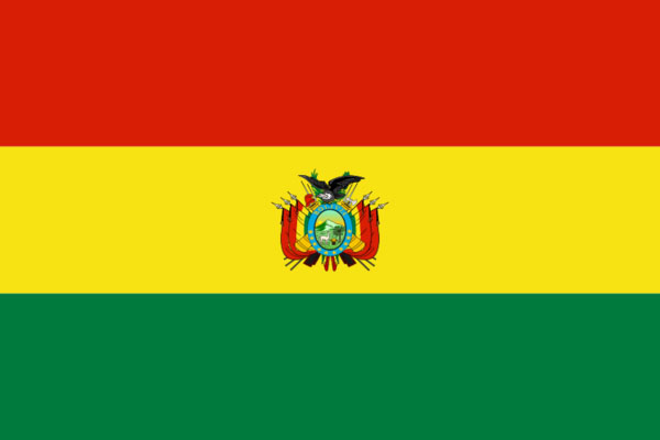 Schurend Condenseren Gehoorzaamheid De vlag van Bolivia