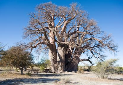 Botswana Botswana