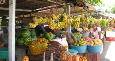 Braziliaans fruit