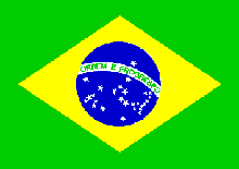 Vlag van Brazili�