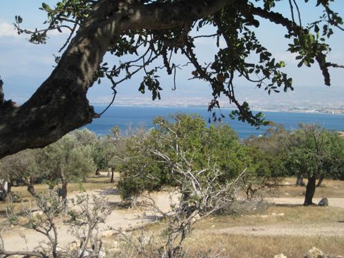 Cyprus Cyprus