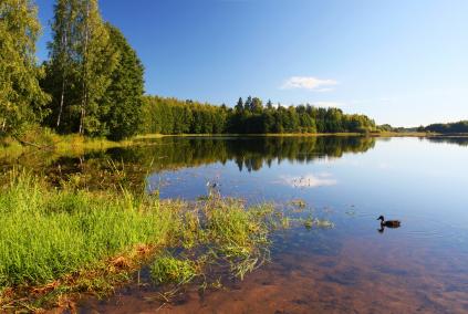 Estland Estland