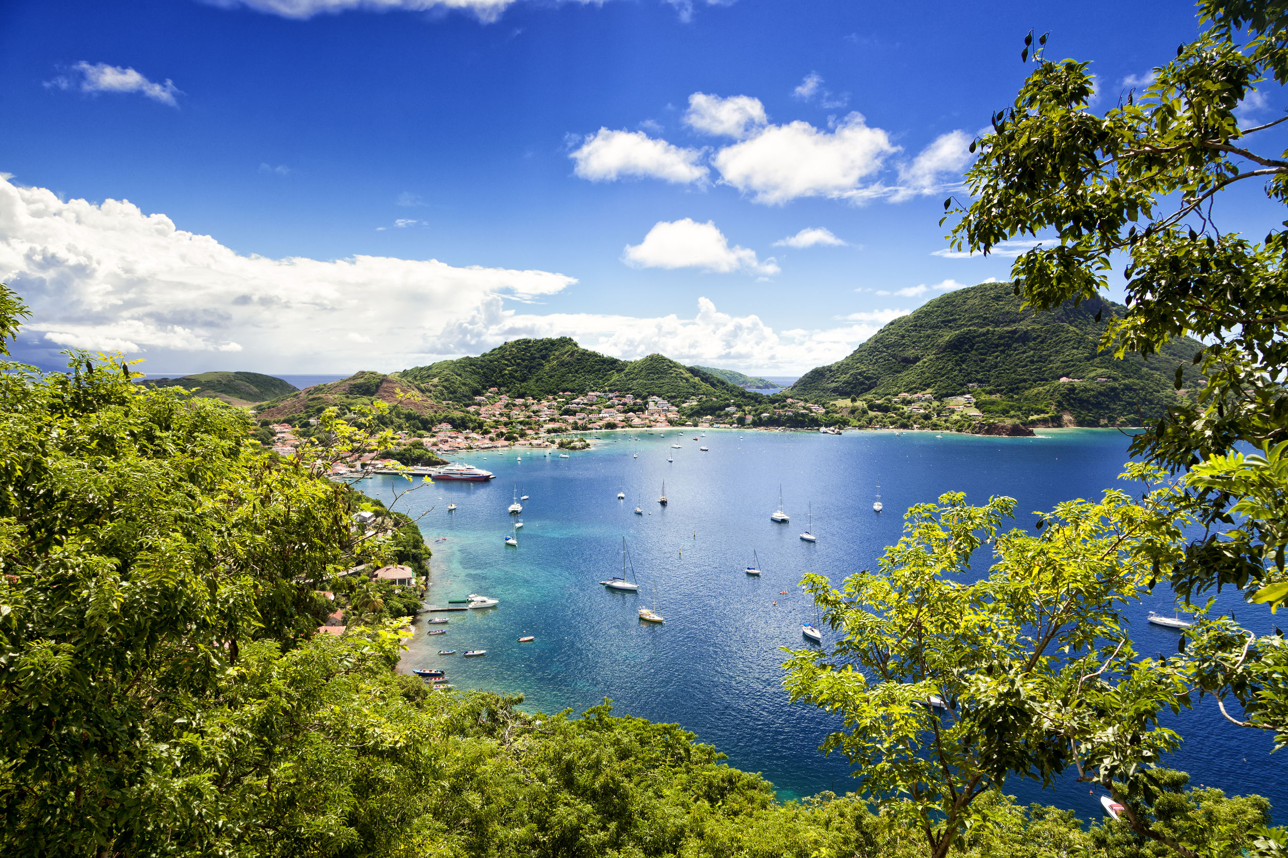 Van guadeloupe sale