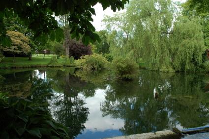 Kildare