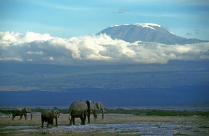 Kenia