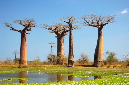 Madagaskar Madagaskar