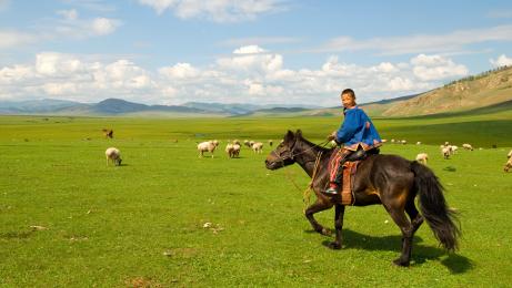 Mongoli�