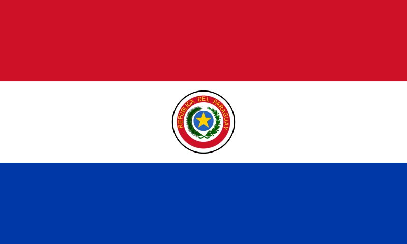 Verzadigen vermogen werknemer De vlag van Paraguay