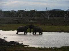 Sri Lanka 2006