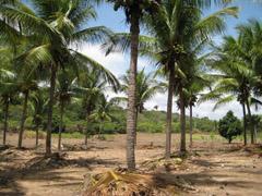 Rondreis Noord, Tibau do Sul