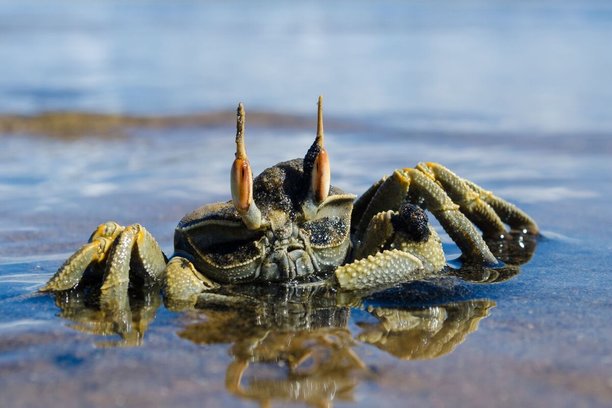 Mooi plaatje van Inhambane