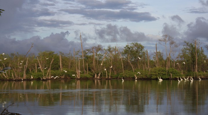 Bigi Pan in Suriname