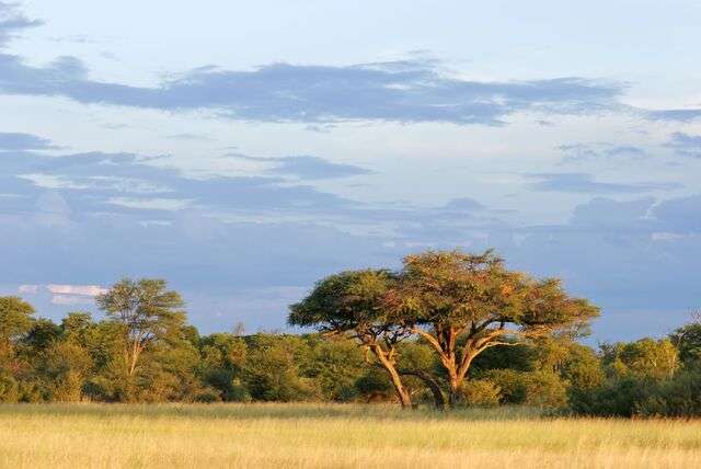Nationale parken in Zimbabwe