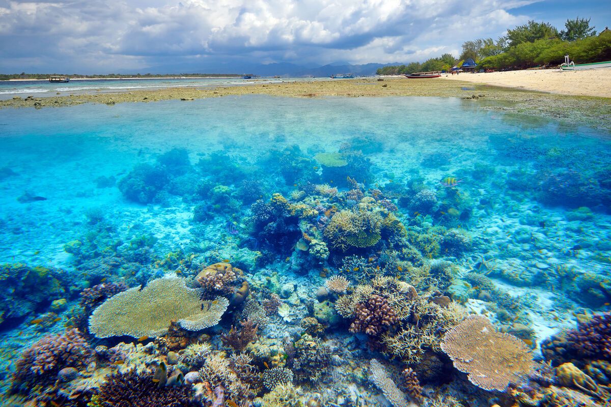 Koraalrif Gili Trawangan
