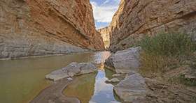 Renate Verduijn van AmerikaPlus