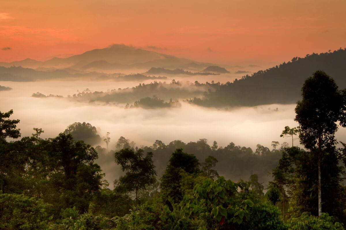 Zonsondergang in het Danum Valley National Park