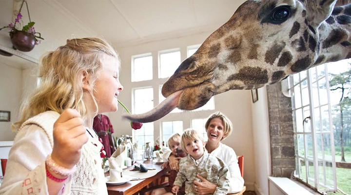 Giraffe Manor in Nairobi in Kenia