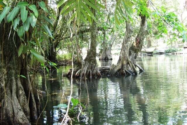 Spaanse les, klimmen en vrijwilligerswerk