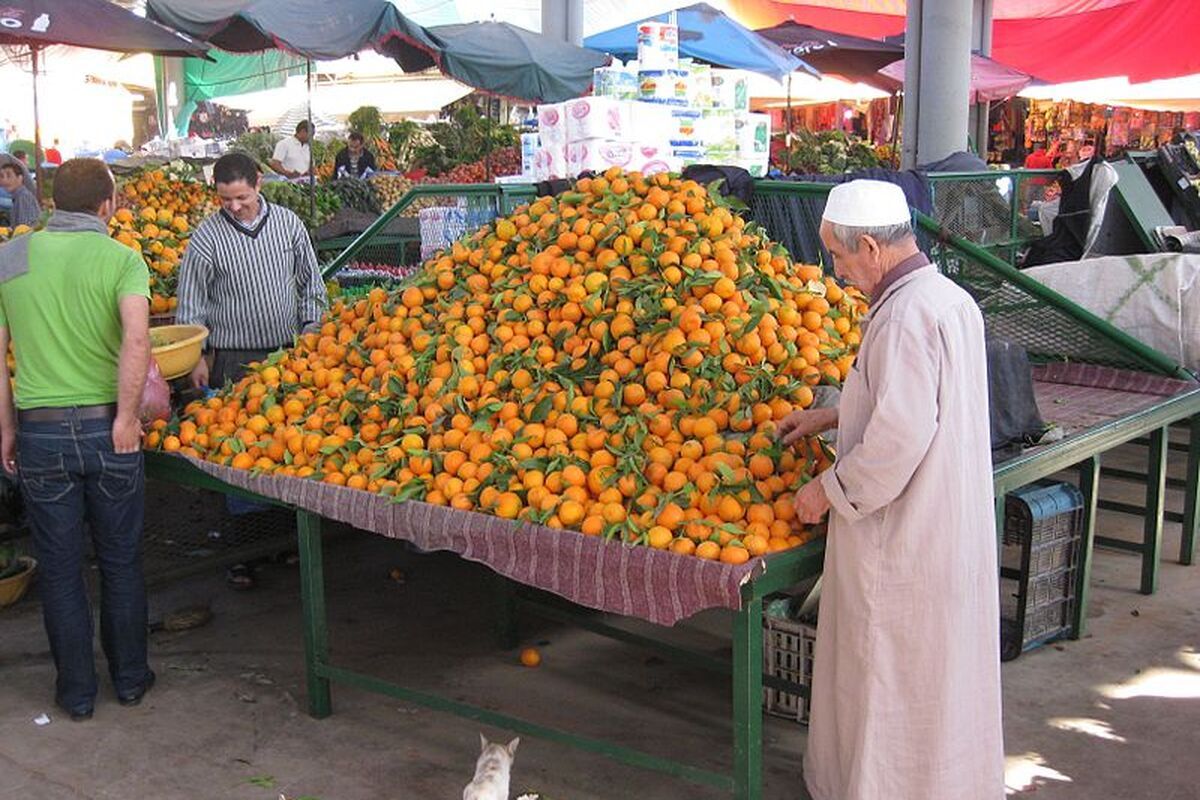 Sinaasappelkraam in Agadir