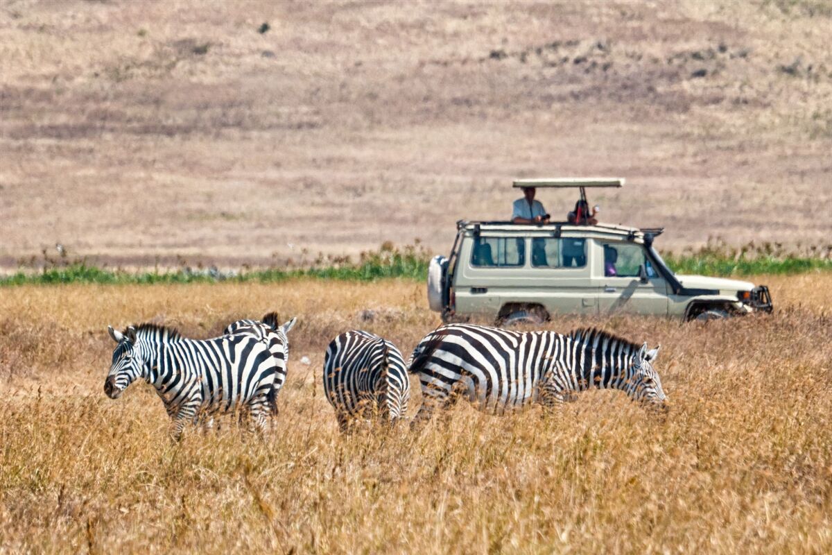 Safari in Kenia
