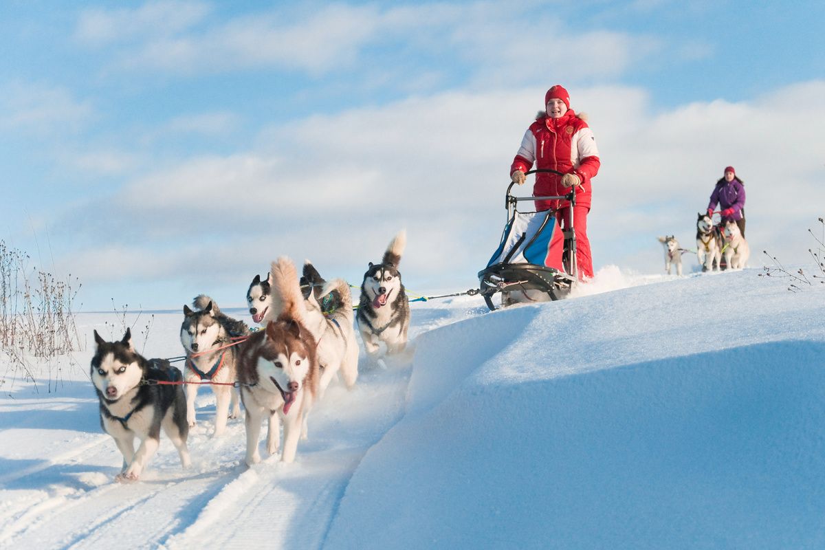 Huskysafari in de omgeving van Tromsø