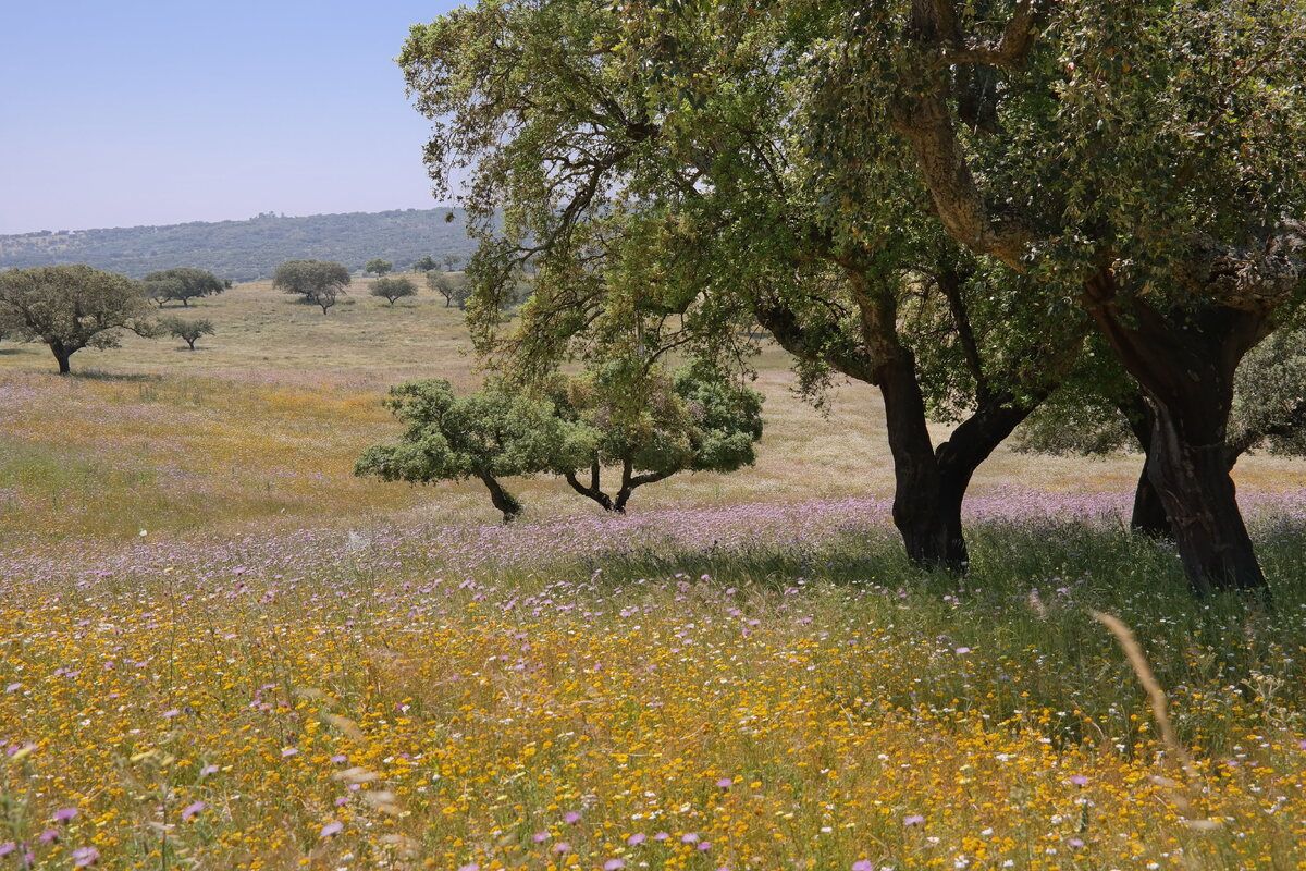 Foto van deze vakantie