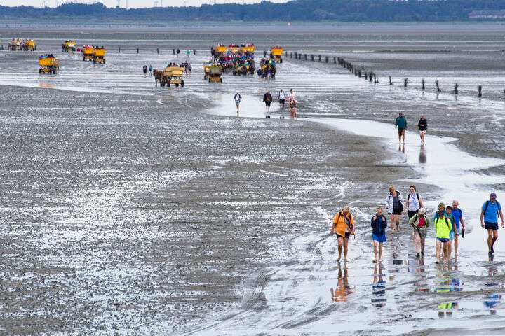 Nationale Park Hamburgisches Wattenmeer