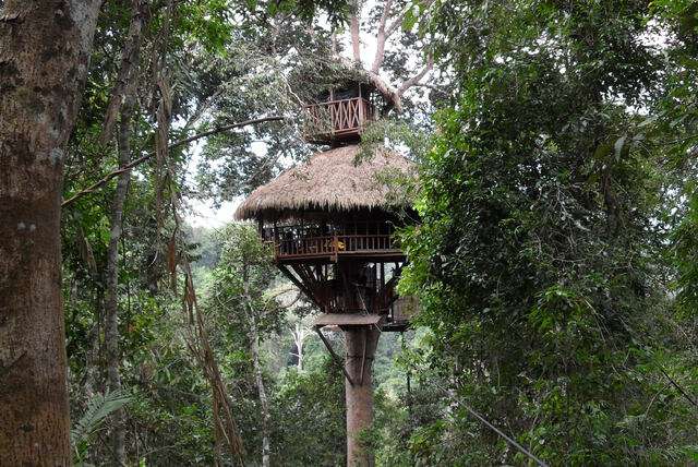 De Gibbon Experience!