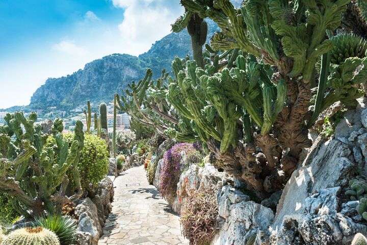 Jardin Exotique Monaco
