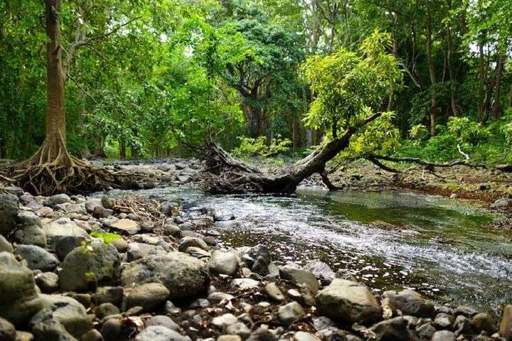 Bras d’Eau National Park