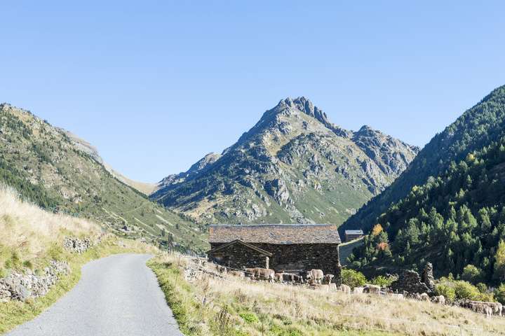 Foto van deze vakantie