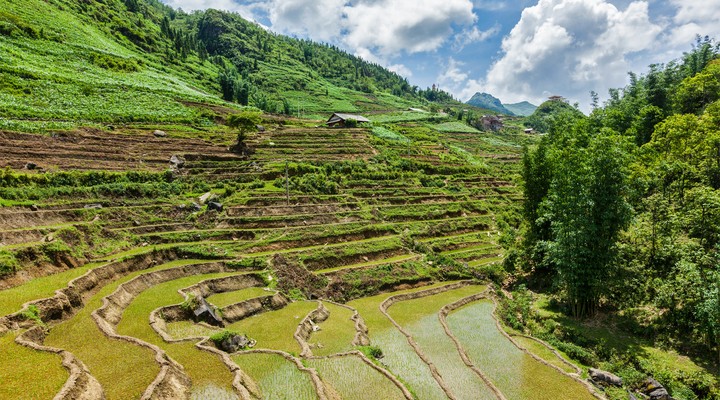 Het landschap van Vietnam