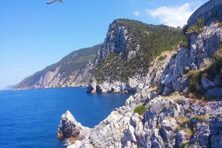 Rotsen bij Cinque Terre