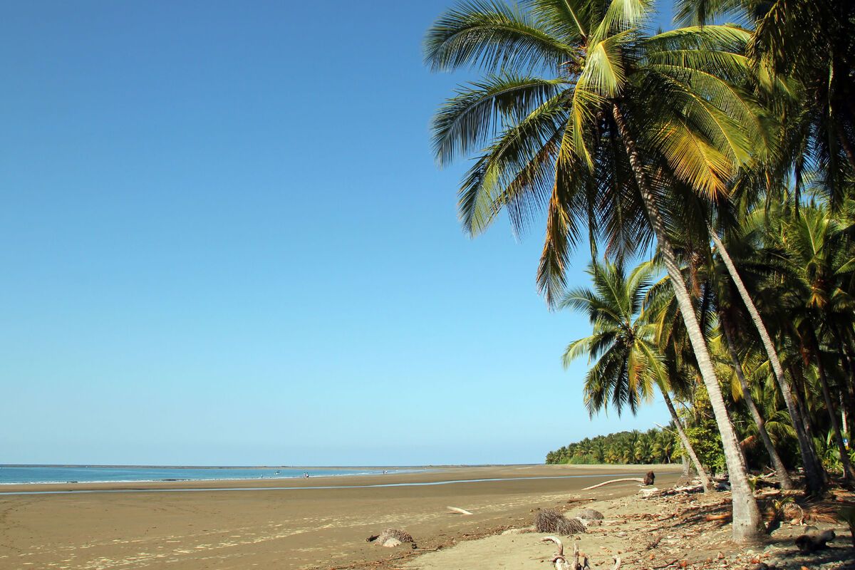 Strand van Nationaal Park Marino Ballena