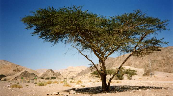 Het prachtige binnenland van Israel