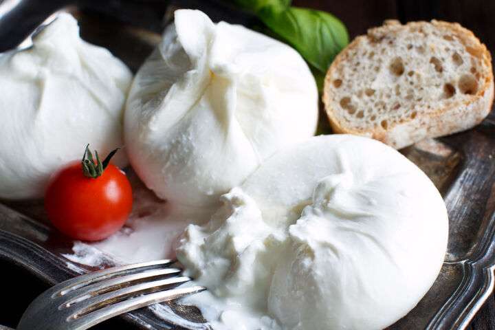Burrata