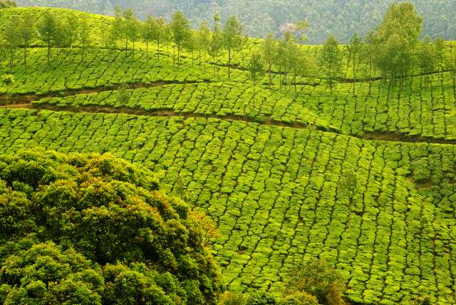 Het klimaat van Sri Lanka
