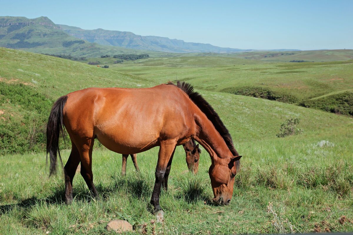 Sehlabathebe National Park in Lesotho