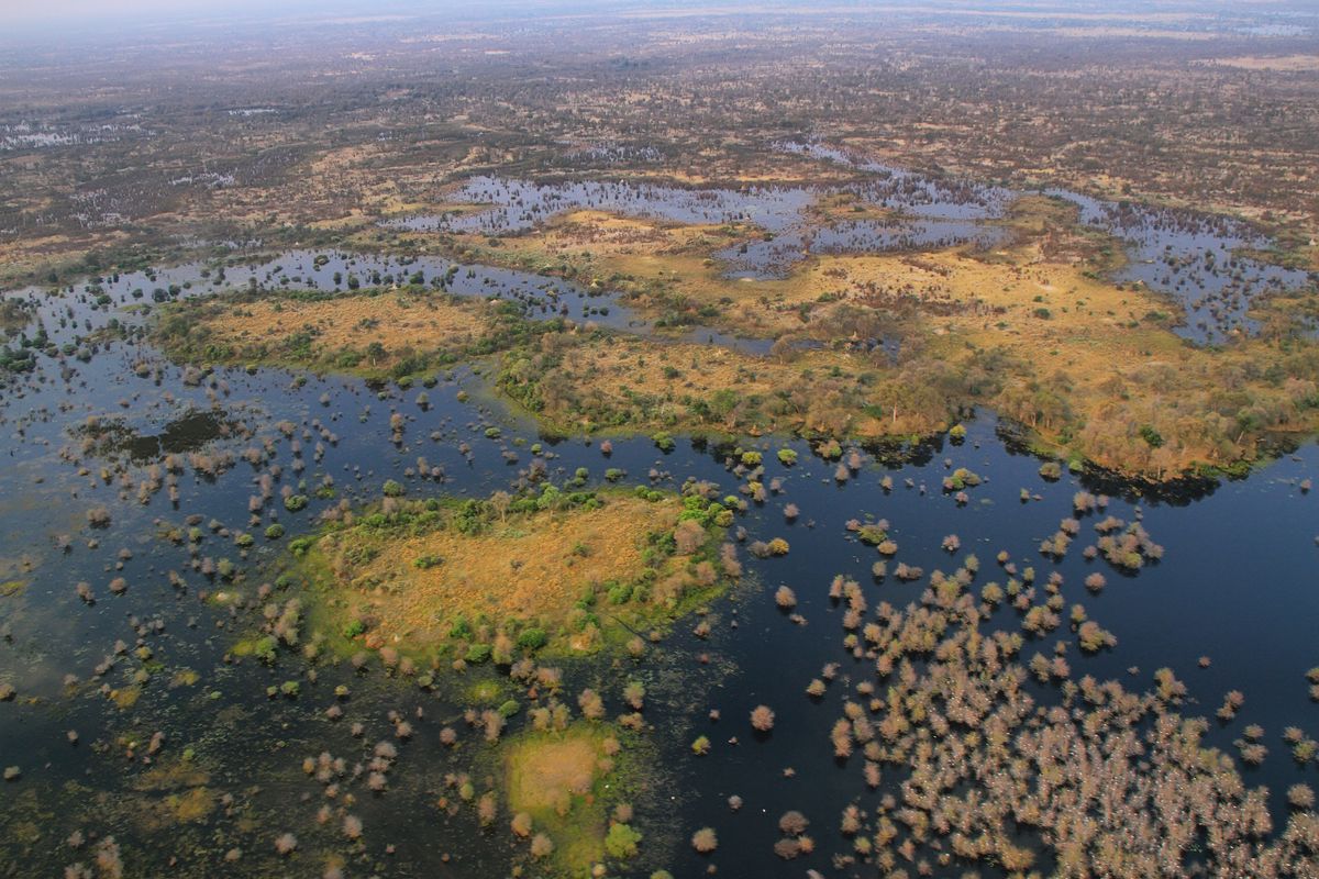 Luchtfoto van de Okavangodelta