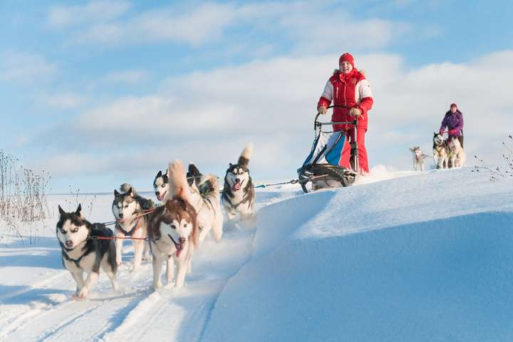 Huskysafari in de omgeving van Tromsø