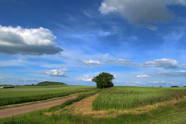 Op de fiets door de Bourgogne