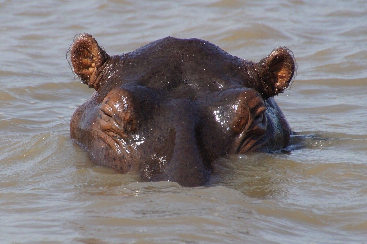 Foto van deze vakantie