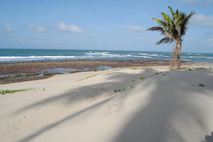 Stranden van Zuid-Afrika id: