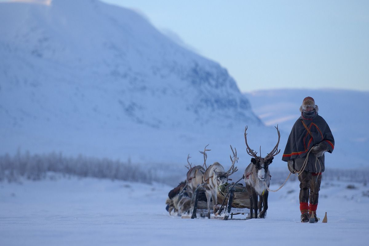 Een Sami in Zweeds Lapland &copy;Staffan Widstrand