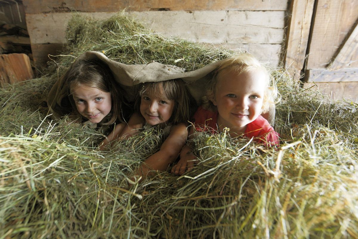 Kinderen spelen in het hooi 
