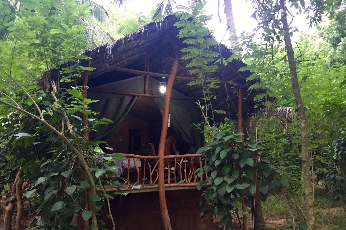 Overnachten in een boomhut