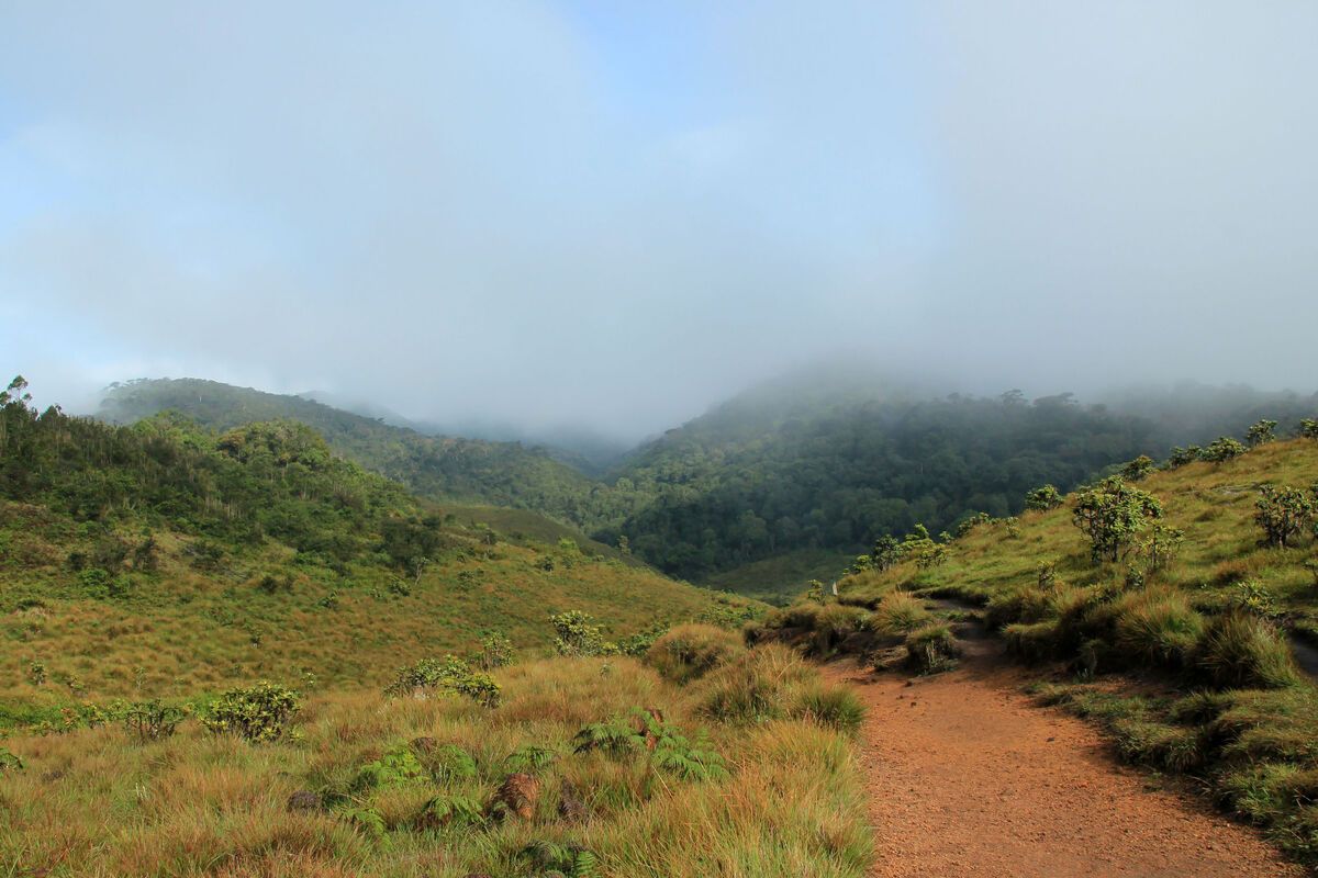 De hooglanden van Horton Plains National Park