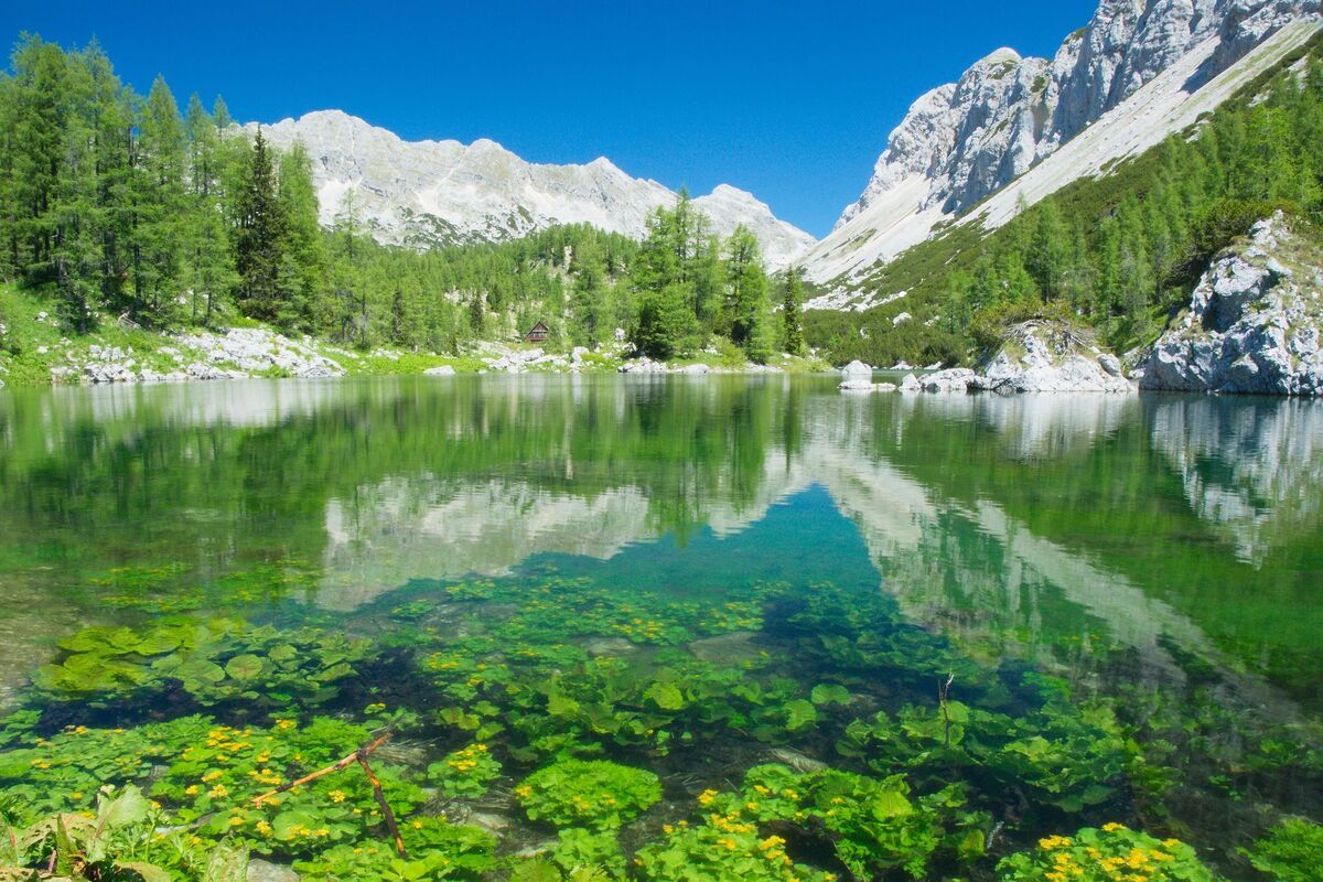Het Triglav National Park