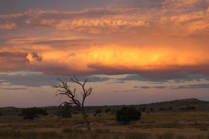 Central Kalahari Game Reserve